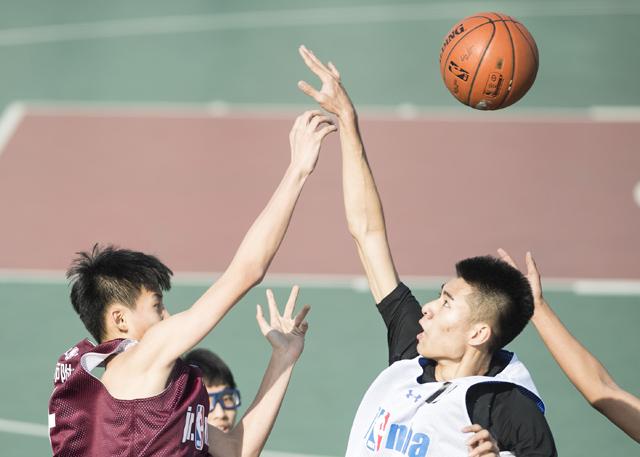 羞羞网站在线看