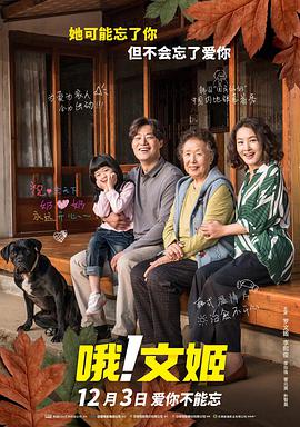江南大婶的诱惑