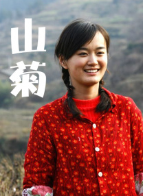 的福利影视专区